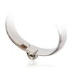 Picture of BDSM Aluminium Female Ankle Cuffs