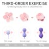 Picture of Alice Health Silicone Kegel Ball Training Set