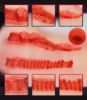 Picture of Abby Realistic Vagina, Ass and Tits Masturbator 6kg
